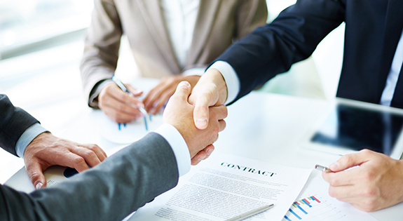 About Stallion Visa